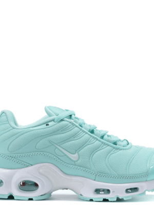 Air Max TN Plus Completed Aqua