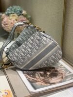 Dior Oblique Saddle Bag