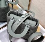 Lady Dior