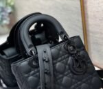Lady Dior