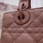 Lady Dior
