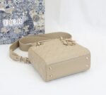 Lady Dior