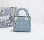 Lady Dior