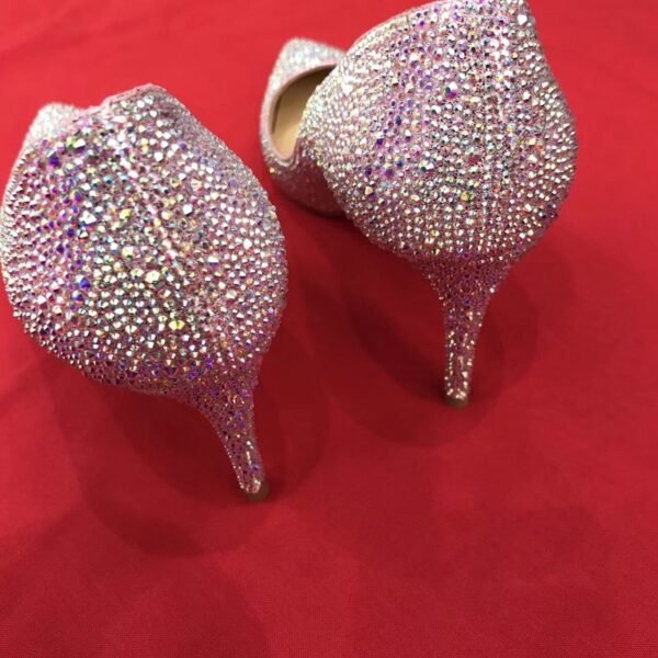 Christian Louboutin Queen Red Sole Shoes