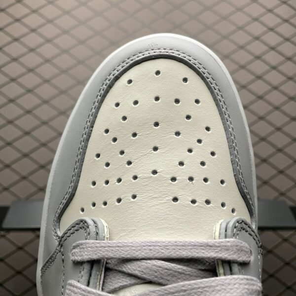 Dior × Air Jordan 1