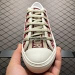 Dior 20S