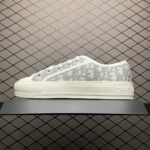 Dior 20S