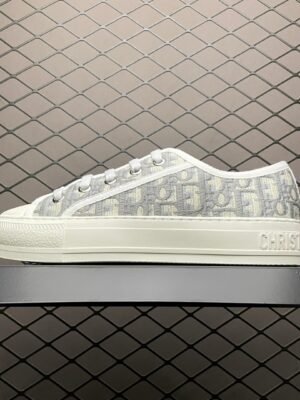 Dior 20S