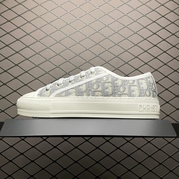 Dior 20S