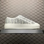 Dior 20S