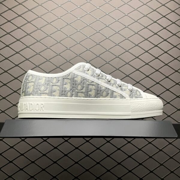 Dior 20S