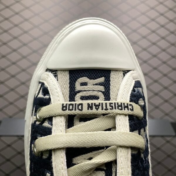 Dior 20S