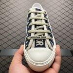 Dior 20S