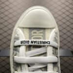 Dior 20S