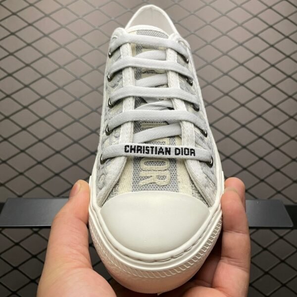 Dior 20S