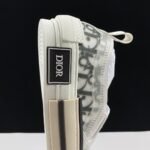 Dior B23 Oblique Slip-on low
