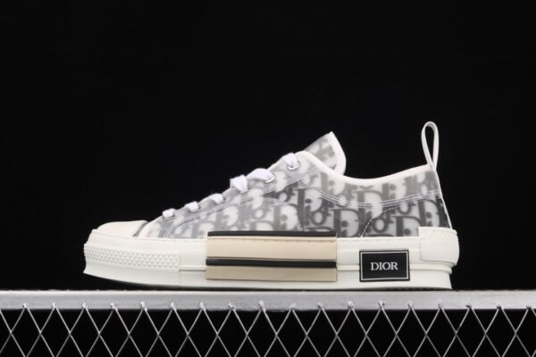 Dior B23 Oblique Low Top Sneakers Kaws