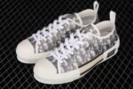 Dior B23 Oblique Low Top Sneakers Kaws