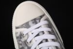 Dior B23 Oblique Low Top Sneakers Kaws