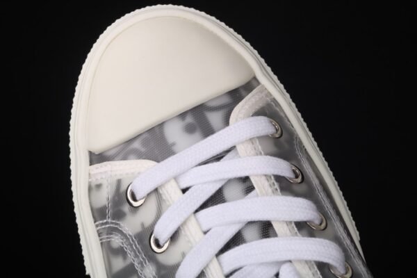 Dior B23 Oblique Low Top Sneakers Kaws
