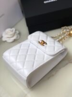 CHANEL CLUTCH