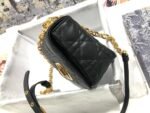Dior Caro