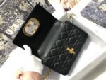 Dior Caro