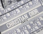 DIOR BOOK TOTE