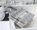 DIOR BOOK TOTE