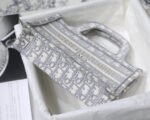 DIOR BOOK TOTE