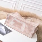 Dior Book Tote