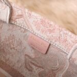 Dior Book Tote