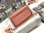 Dior Caro
