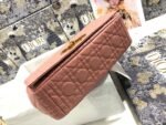 Dior Caro