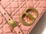 Dior Caro