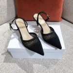Dior Pump