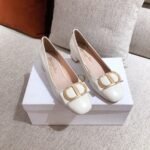 Dior Pump 2021