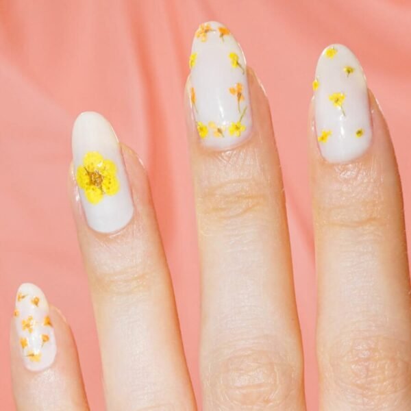 Yellow Dried Flowers