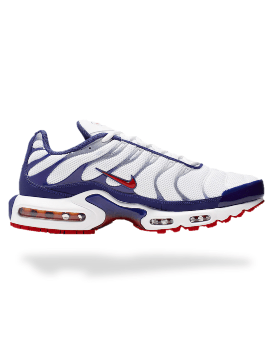 Air Max TN Plus WRB