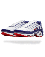 Air Max TN Plus WRB