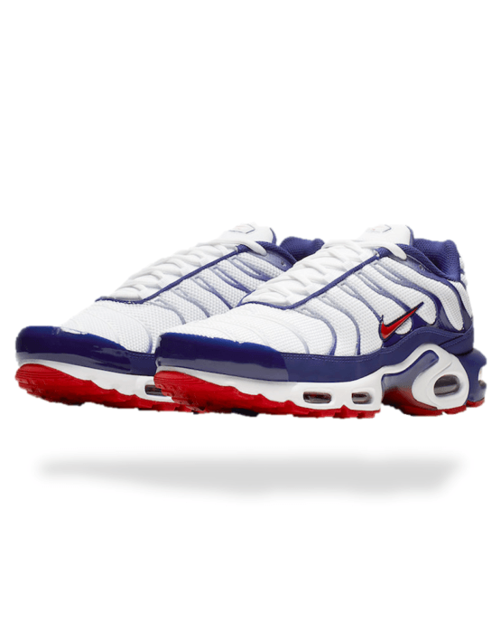 Air Max TN Plus WRB