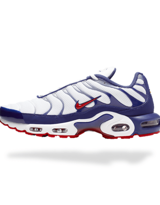 Air Max TN Plus WRB