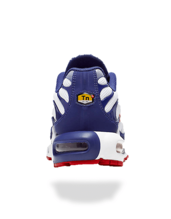 Air Max TN Plus WRB