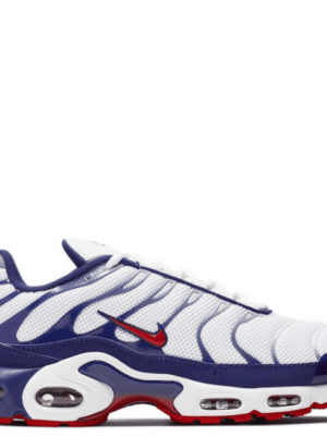 Air Max TN Plus WRB