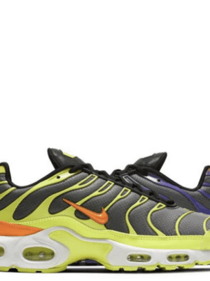 Air Max TN Plus ColorFlip