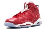 Jordan 6 Retro Slam Dunk 717302-600