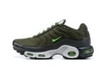 Air Max TN Plus Green Stucco