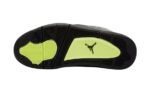 Jordan 4 Retro SE 95 Neon