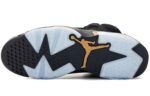 Jordan 6 DMP Retro CT4594-007