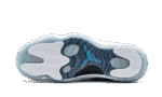 Jordan 11 Retro  Pantone